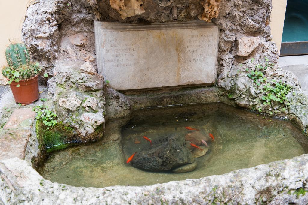 Domus Capilupi Bed & Breakfast Rome Bagian luar foto